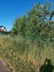Działka budowlana, uzbrojona Łebcz k. Władysławowa, 1025 m2 - 12