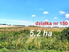 Działka w zabudowie siedliskowej 5,2 ha - 2