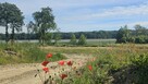 Atrakcyjna działka nad jeziorem z plażą - 2