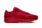 Nike AIR MAX 1 86 Jacquemus Mystic Red / HM6690–600 - 6