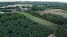 Działka leśna z warunkami zabudowy - 8