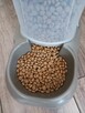 Sucha karma dla psa SZCZENIAKA 1 kg wysyłka gratis - 2