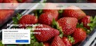 Własna strona www | Własny sklep www | Relkama w sieci - 10