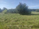 Działka rolno-budowlana Nowe Kozłowice gm. Wiskitki - 2