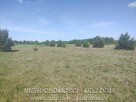 Działka rolno-budowlana Nowe Kozłowice gm. Wiskitki - 3