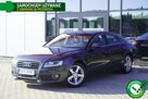 Audi A5 8xALU Skóra Xenon LED Grzane fotele Czujniki Navi GWARANCJA Bezwypadek - 1