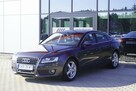 Audi A5 8xALU Skóra Xenon LED Grzane fotele Czujniki Navi GWARANCJA Bezwypadek - 3