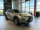 Lexus NX 300H 2.5 hybrid 197KM E-CVT 2017 r., salon PL, f-a VAT - 1