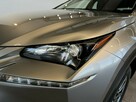 Lexus NX 300H 2.5 hybrid 197KM E-CVT 2017 r., salon PL, f-a VAT - 9