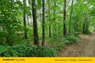 Działka Mierzwice-Kolonia - 6