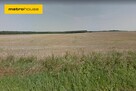 TEREN ROLNY, PRZEZNACZENIE BUDOWLANE, DOPIEWO, - 2