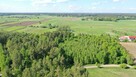 Działka leśna Stary Cydzyn gm. Piątnica - 2