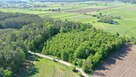 Działka leśna Stary Cydzyn gm. Piątnica - 4