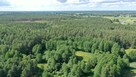 Działka leśna Jurki gm. Zbójna - 4