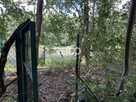 Działka z domkiem letniskowym nad starorzeczem - 3