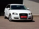 Audi A3 Navi /Bi Xenon /Klimatronic /2,0 /140KM /8V / - 2