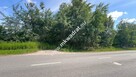 Działka budowlana 6577 m2 Radonie z MPZP - 12