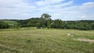 Piękna działka z dojściem do Jeziora Lubie. - 13