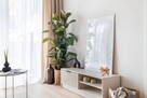 GOTOWE | 2-pok 39m2 | GARDEROBA hala MP - 13