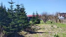 Kłodzino,Przelewice nieruchomość gruntowa dom - 3