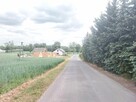 Działka budowlana Rybno Wielkie gm. Kiszkowo, Kasztanowa - 4