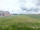 Działka budowlana Rybno Wielkie gm. Kiszkowo, Kasztanowa - 10