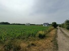 Działka budowlana Tąpkowice gm. Ożarowice, Brynicka - 4