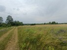 Działka budowlana Tąpkowice gm. Ożarowice, Brynicka - 6