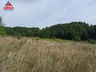 Działka budowlana Raciechowice - 4
