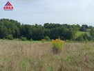 Działka budowlana Raciechowice - 5
