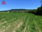 Działka Męcina gm. Limanowa - 6