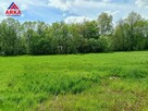 Działka usługowa Zegartowice gm. Raciechowice - 8