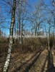 Działka siedliskowa Jaktorów Stare Budy - 6