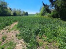 Działka budowlana Poskwitów gm. Iwanowice - 2