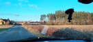 Nieruchomość gruntowa Szczecin Wielgowo pod lasem - 1