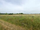 Działka budowlana Tąpkowice gm. Ożarowice, Brynicka - 10