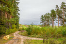 Dom Józefów, - 5
