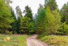 Dom Józefów, - 6
