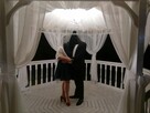 Para szuka pary - 1