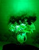 Imprezowy reflektor sceniczny 36 LED. - 4