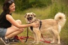 Nala – błękitnooka piękność, która czeka właśnie na Ciebie - 8
