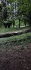 21:30 Wieczorny spacer po leśie z młodymchebzie pawła park - 1