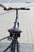 Wyjątkowy personalizowany rower - 9