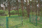 Sprzedam działkę rekreacyjną 29a w Czerwonej Woli, Sieniawa - 4