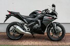 Honda CBR 125 2016 JC50 Raty Transport Największy Wybór Moto 125 MOTOSTAR - 3