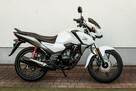 Honda CB 125 F 2022 POLIFT Raty Wysyłka TRANSPORT Największy Wybór Moto 125w PL - 2