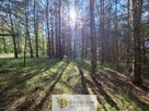 Działka budowlana wśród lasu | Bartoszylas - 2