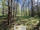 Działka budowlana wśród lasu | Bartoszylas - 3