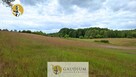 DUŻA DZIAŁKA ROLNA Z LASEM - MĘCIKAŁ gm. Brusy - 4