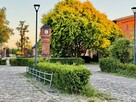 Mieszkanie Skarbimierzyce gm. Dobra (Szczecińska) - 7